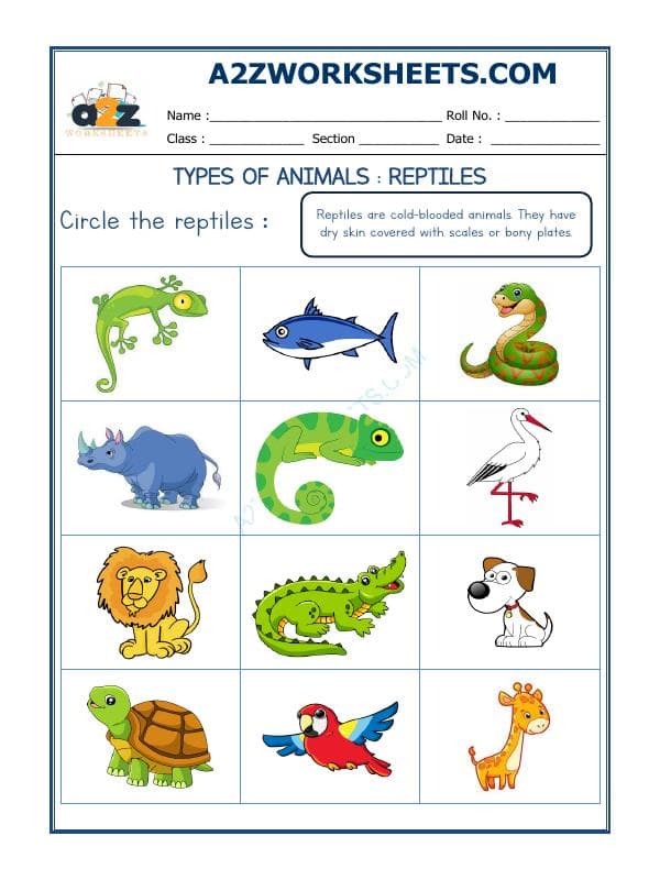 A2ZWorksheets:Science-Animals-Animal Classification-05