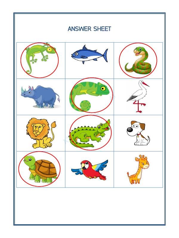 A2ZWorksheets:Science-Animals-Animal Classification-05