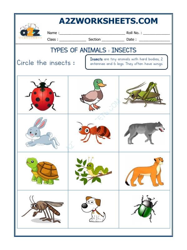 A2ZWorksheets:Science-Animals-Animal Classification-07