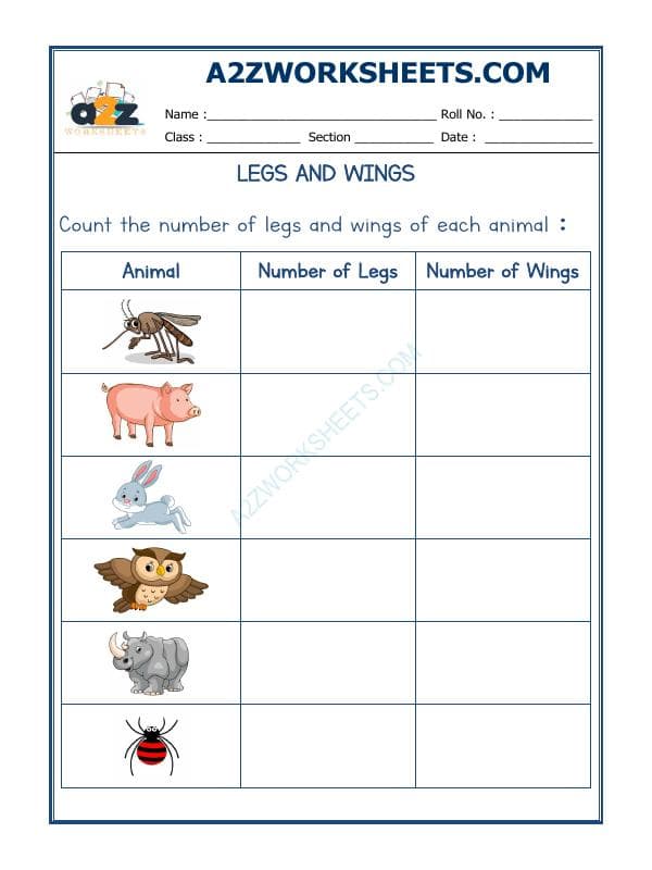 Animal - Legs And Wings-02