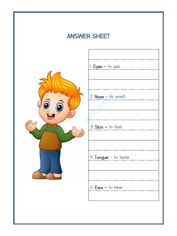 A2ZWorksheets:Science-Humans-Our Body-02