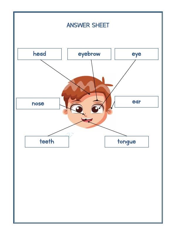 A2ZWorksheets:Science-Humans-Our Body-03