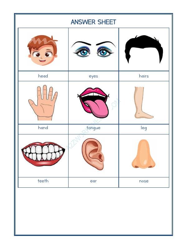 A2ZWorksheets:Science-Humans-Our Body-04