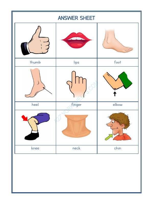 A2ZWorksheets:Science-Humans-Our Body-05
