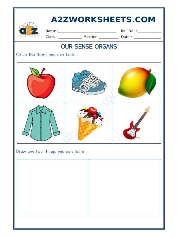 A2ZWorksheets:Science-Humans-Our Sense Organs-01