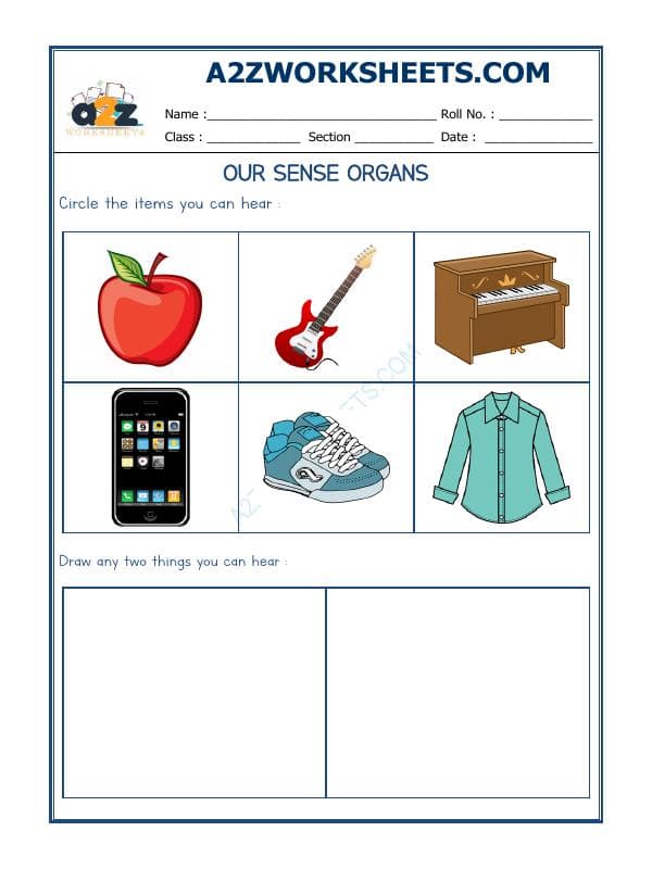 A2ZWorksheets:Science-Humans-Our Sense Organs-02