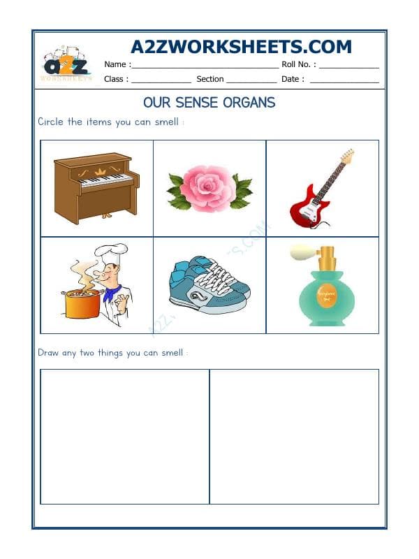 A2ZWorksheets:Science-Humans-Our Sense Organs-03