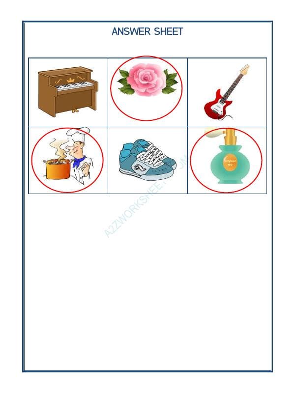 A2ZWorksheets:Science-Humans-Our Sense Organs-03