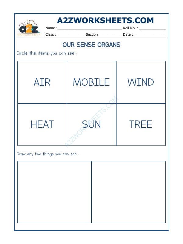A2ZWorksheets:Science-Humans-Our Sense Organs-04