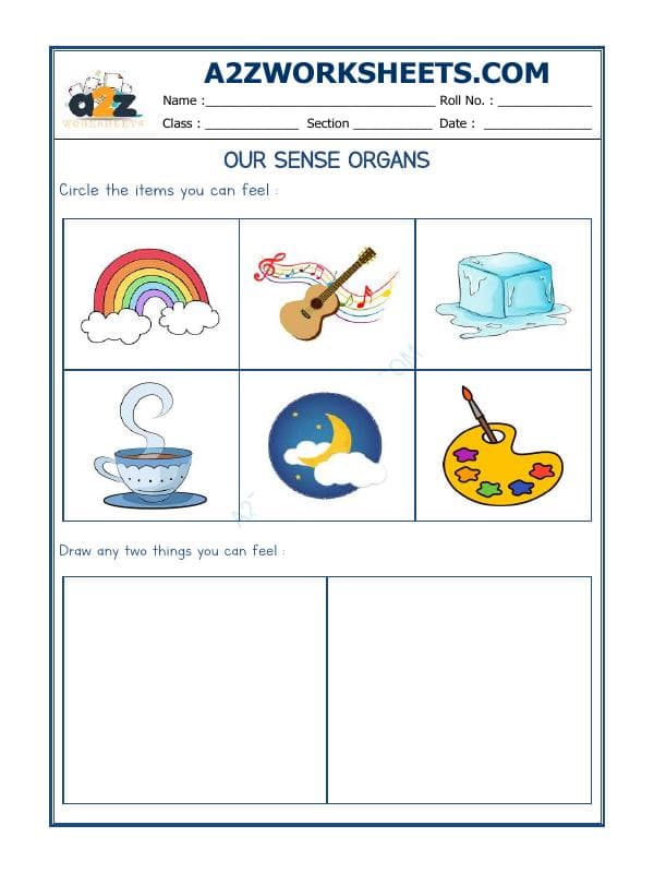 A2ZWorksheets:Science-Humans-Our Sense Organs-05