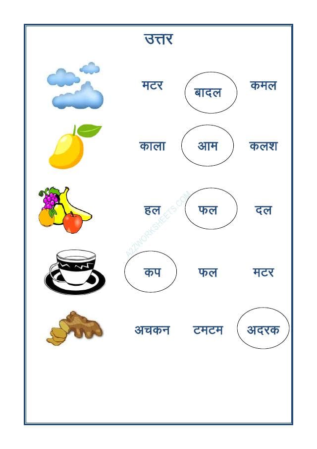 A2ZWorksheets:Language-Hindi-Match The Picture To The Correct Word-01