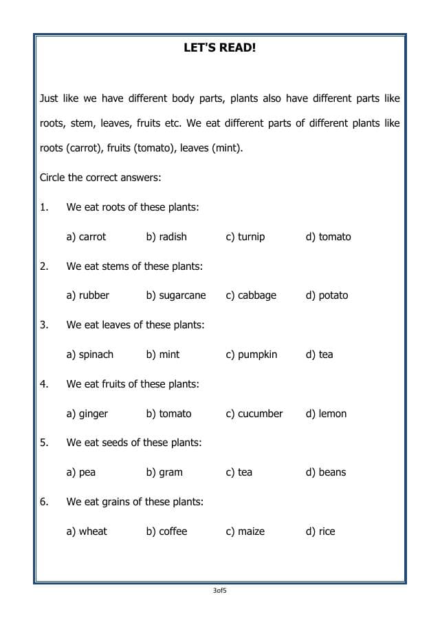 A2ZWorksheets:Science-Plants and Living Organisms-Plants-02