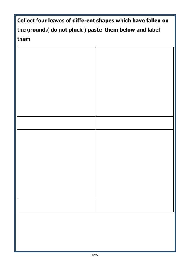 A2ZWorksheets:Science-Plants and Living Organisms-Plants-02