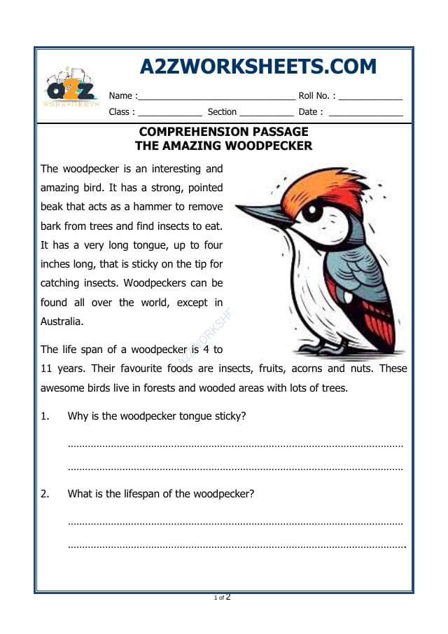 A2ZWorksheets:English-Reading-Comprehension Passage-41