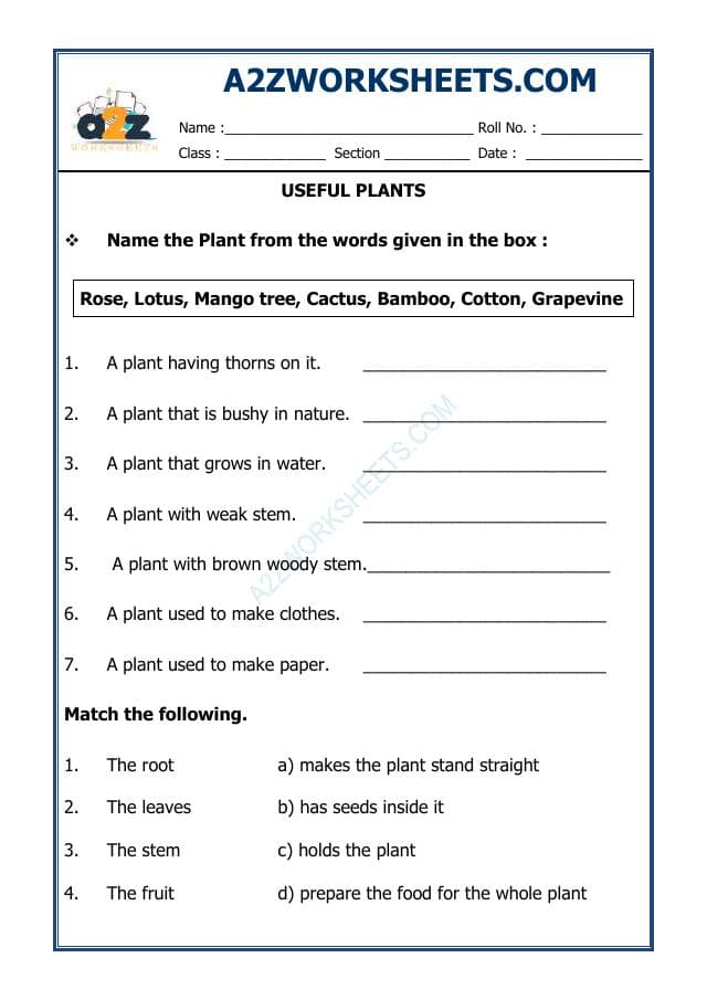 Class-I-Useful Plants-01