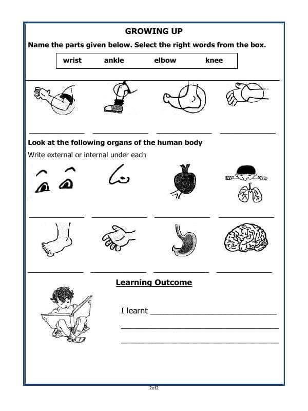 A2ZWorksheets:General Awareness-Growing Up-Growing Up