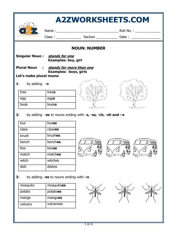 A2ZWorksheets:English-Grammar-Noun  Number