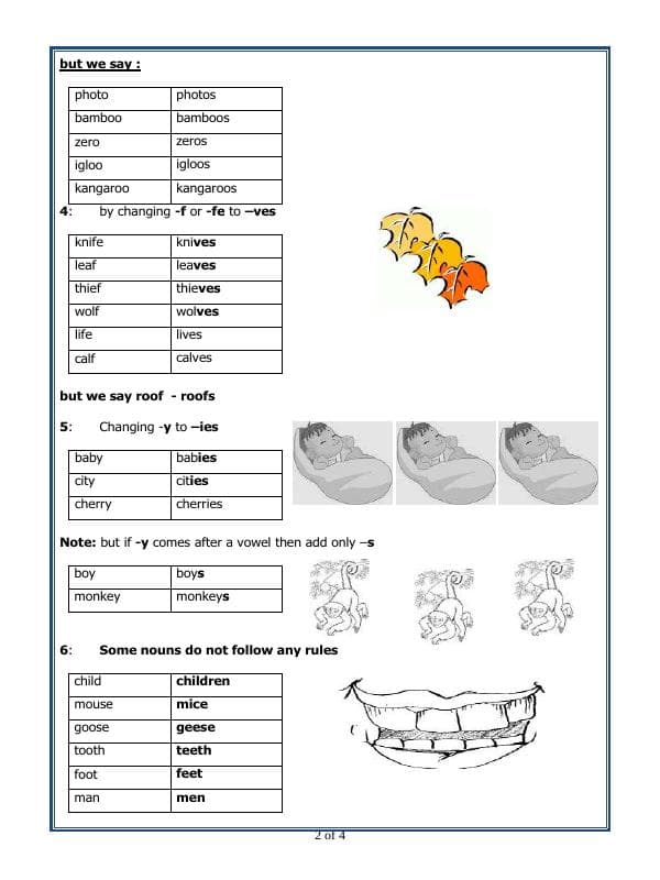 A2ZWorksheets:English-Grammar-Noun  Number
