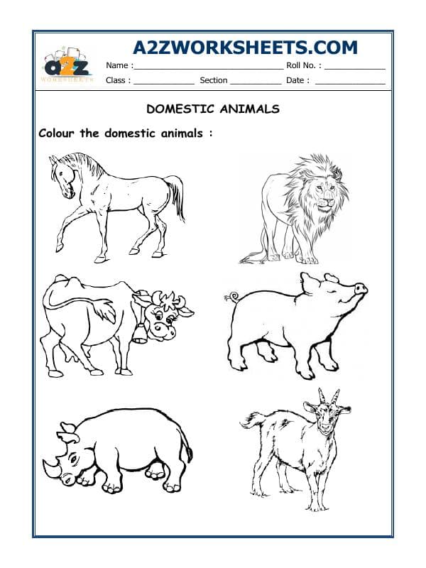 A2ZWorksheets:Science-Animals-Domestic Animals