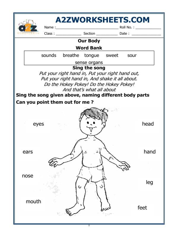 Class-I-Our Body