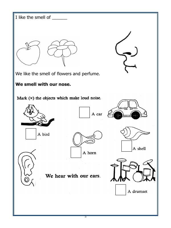 A2ZWorksheets:Science-Humans-Class-I-Our Body